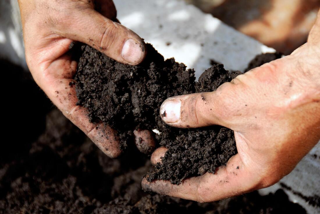 affordable deep root fertilization 